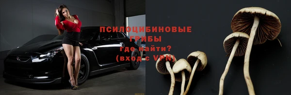твердый Алексеевка