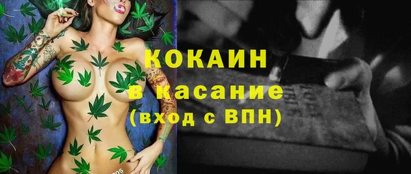 твердый Алексеевка